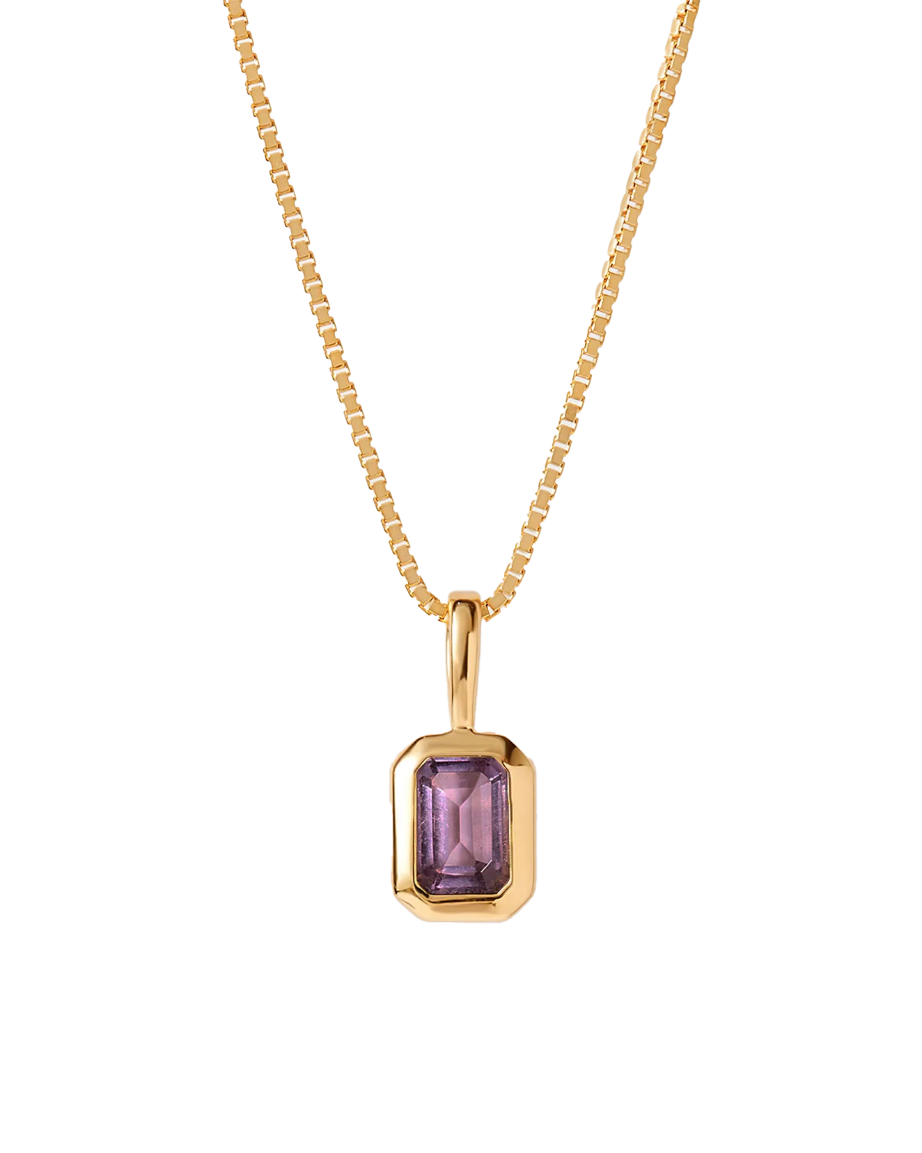 Adara's™ Amethyst February Birthstone Pendant, 10K Yellow Gold
